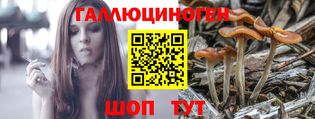 Галлюциногенные грибы GOLDEN TEACHER Абинск