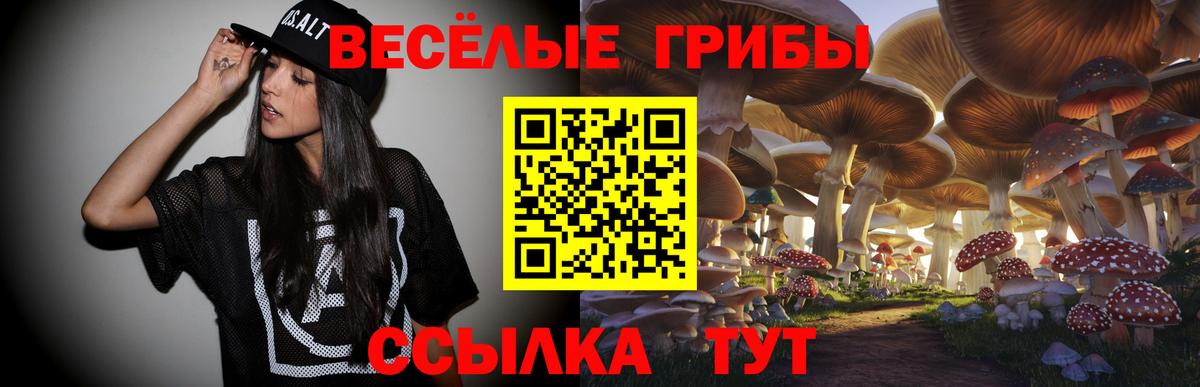 Абинск  Галлюциногенные грибы Magic Shrooms  Вход с VPN 